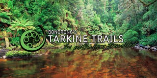 Tarkine Trails