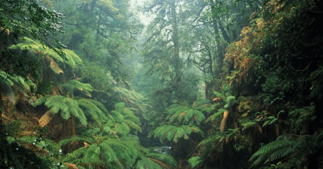 Arthur River, Ted Mead