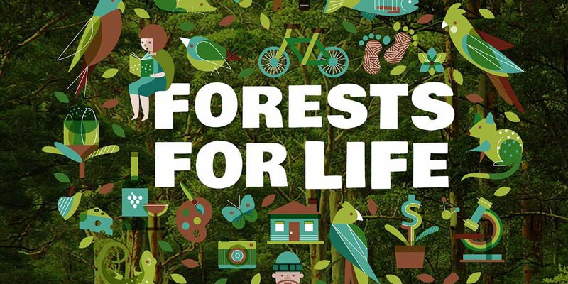 Forests for Life © 2018 WA Forest Alliance