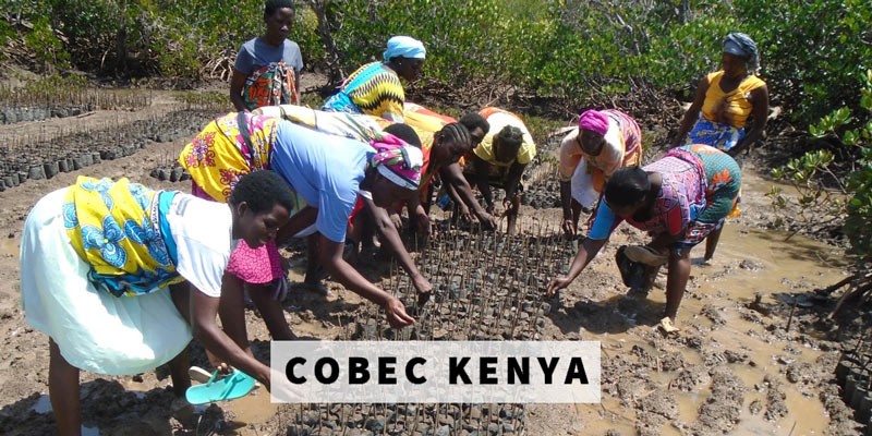 COBEC Kenya
