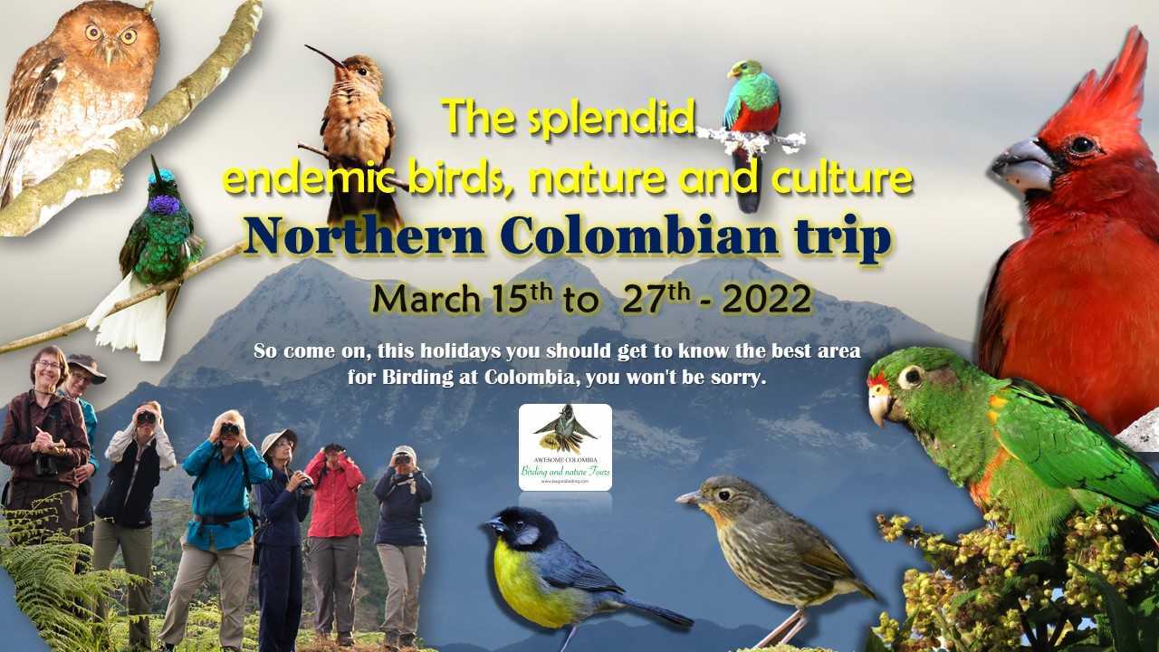 Birding Trip - Atlantic Coast - March 2022