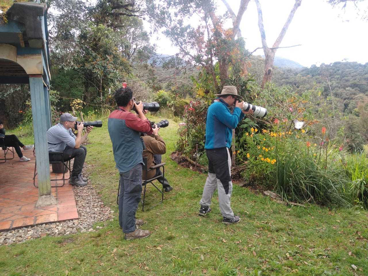 Bogota Birding and Colombia Wildlife Tours - Photography Bird Tour