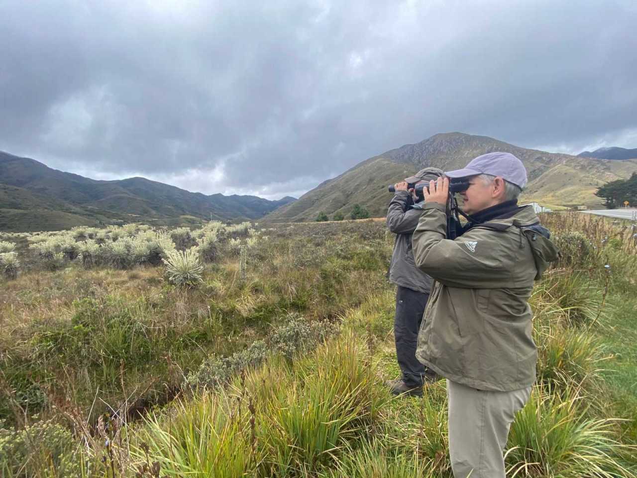 Birdwatching in Chingaza National Park - Bogota Birding and Colombia Wildlife Tours (2)